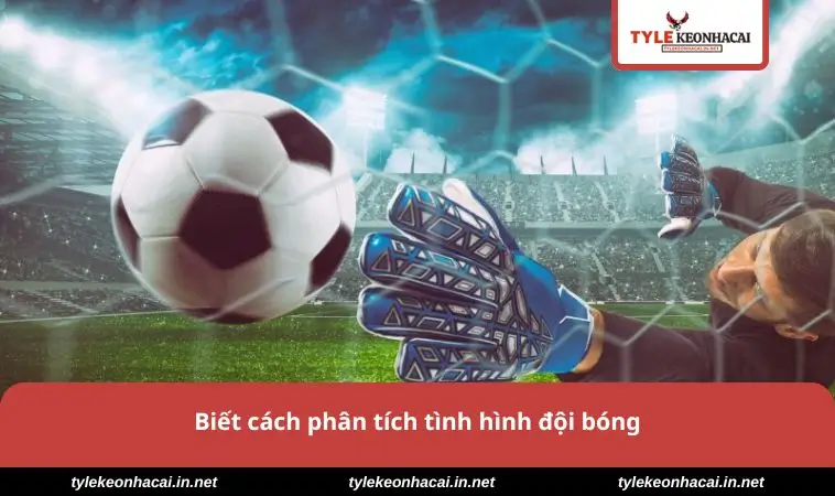 Kèo Rung - Chiến Lược Đặt Cược Thông Minh Cho Dân Cá Cược 2 Biết cách phân tích tình hình