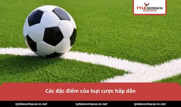 Các đặc điểm của loại cược hấp dẫn