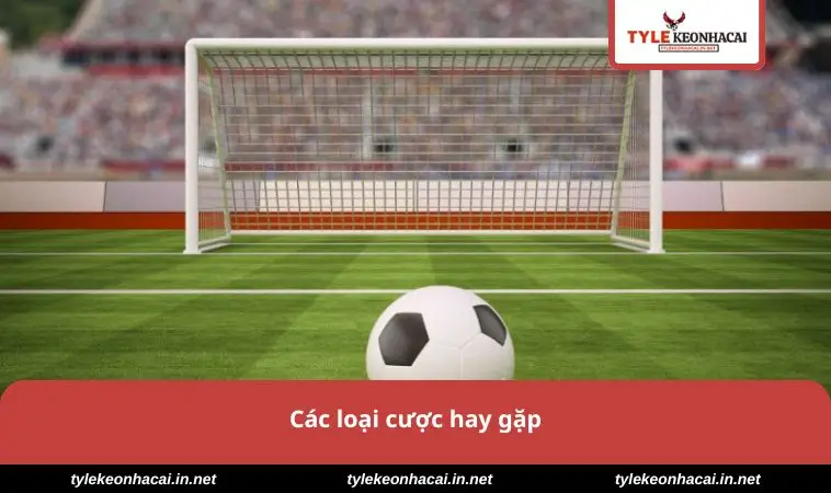 Kèo Penalty - Bí Quyết Để Thắng Cược Hấp Dẫn Dễ Dàng 1 Các loại cược hay gặp