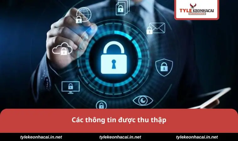 Các thông tin được thu thập