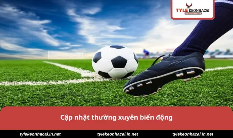 Cập nhật thường xuyên biến động