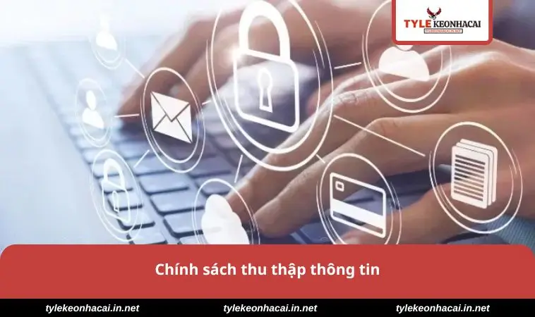 Chính sách thu thập thông tin