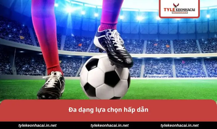 Đa dạng lựa chọn hấp dẫn