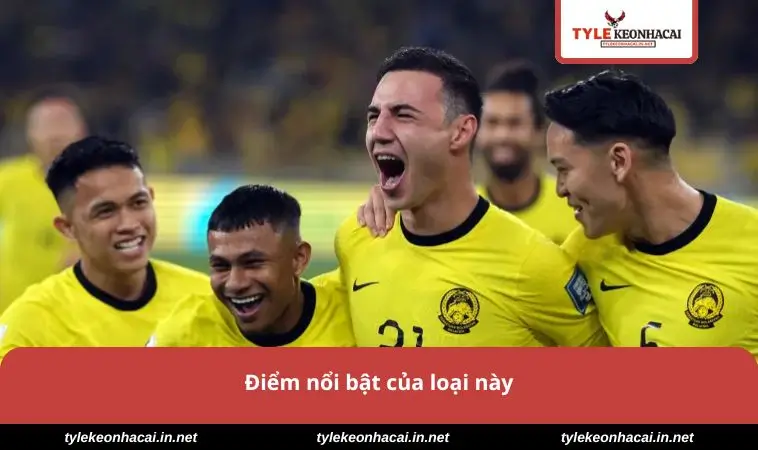 Điểm nổi bật của loại này