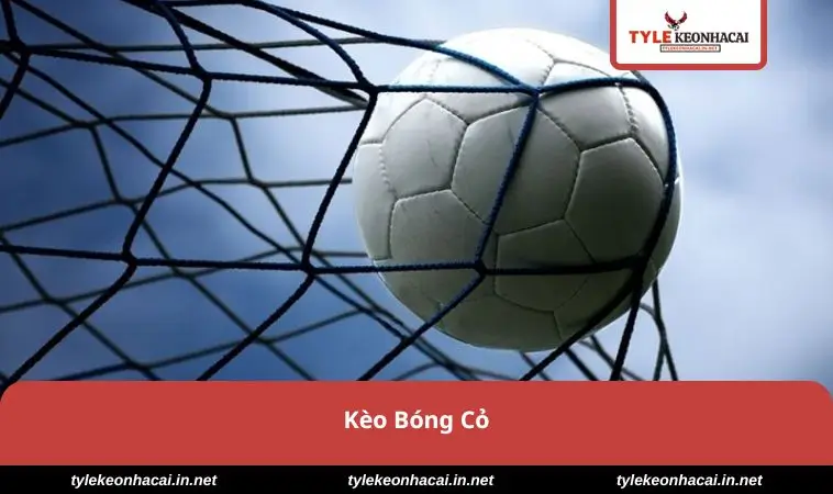 keo-bong-co