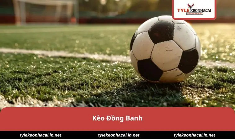 keo-dong-banh