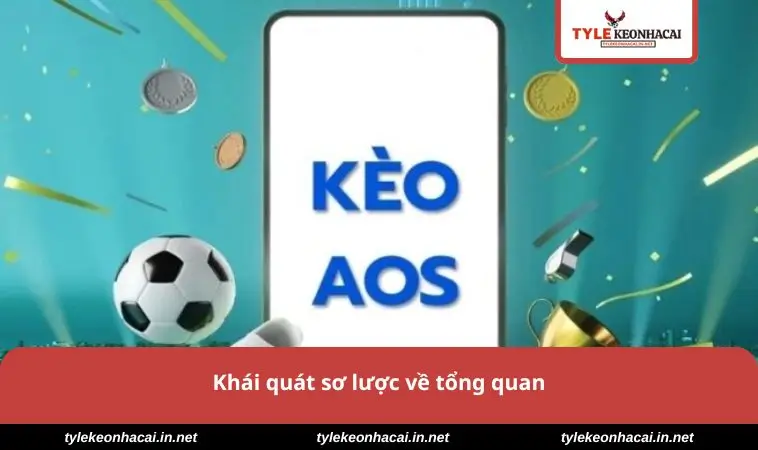 Khái quát sơ lược về tổng quan