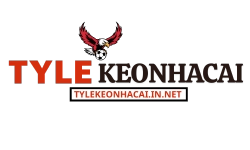 tylekeonhacai.in.net