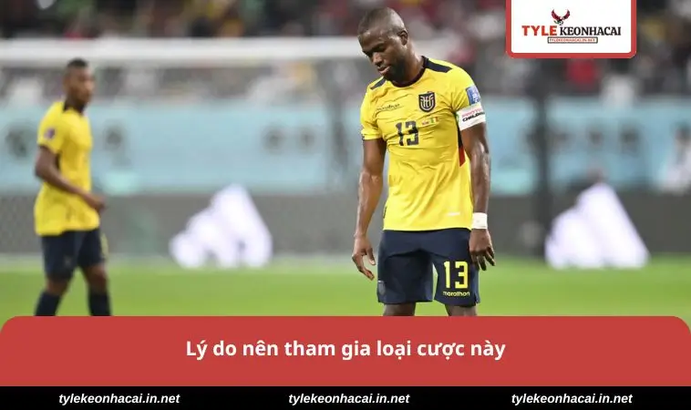 Kèo Bóng Đá Nam Mỹ - Bí Quyết Theo Dõi & Đặt Hiệu Quả 1 Lý do nên tham gia loại cược này