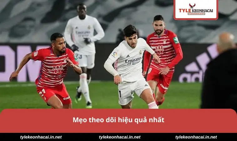 Mẹo theo dõi hiệu quả nhất