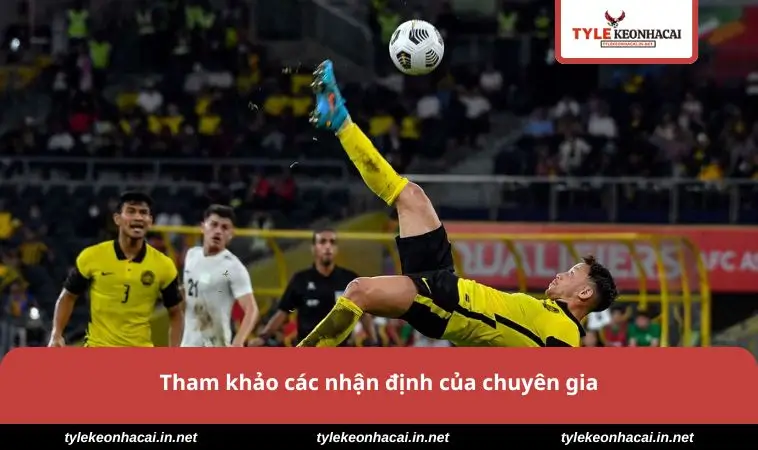Tham khảo ý kiến chuyên gia