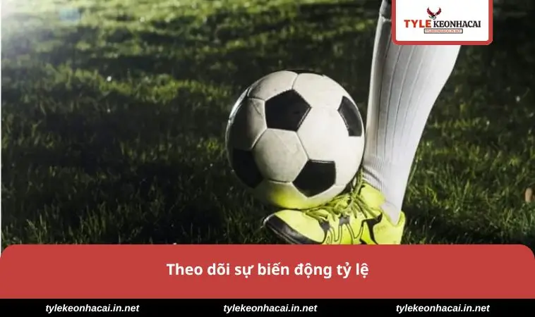 Theo dõi sự biến động tỷ lệ