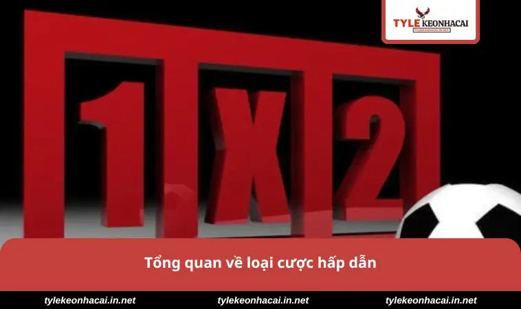 Tổng quan về loại cược hấp dẫn